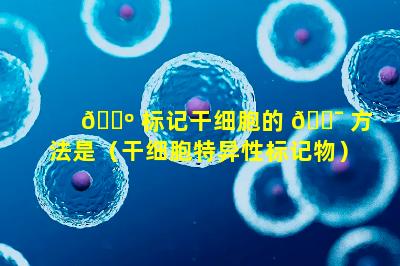 🌺 标记干细胞的 🐯 方法是（干细胞特异性标记物）